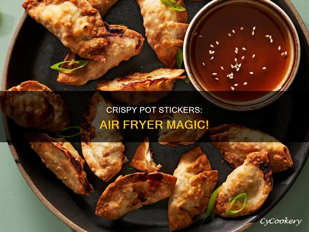 can you cook pot stickers in an air fryer