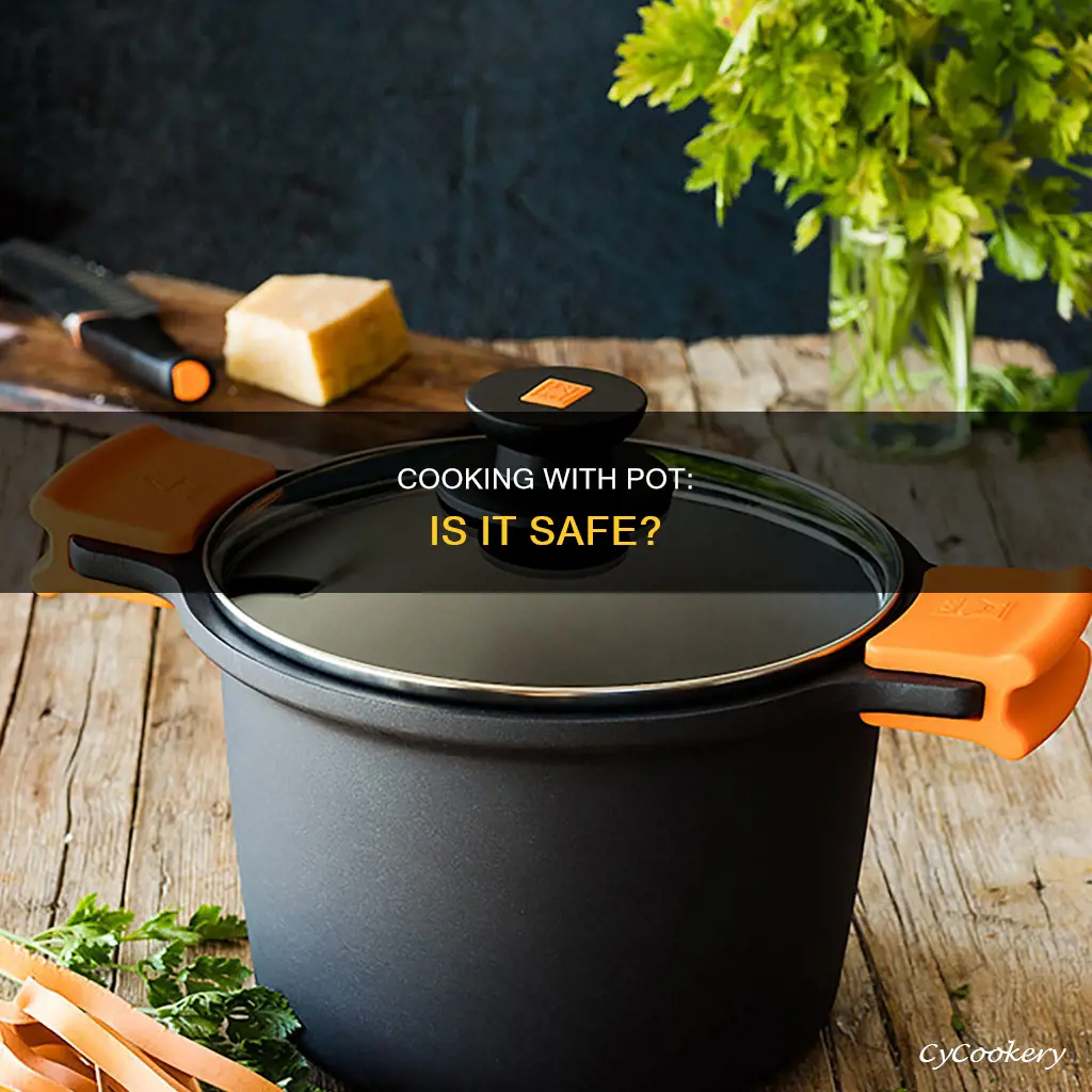 can you cook pot