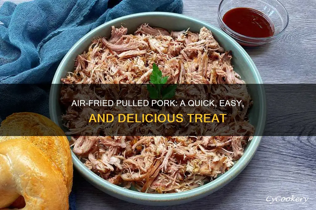 can you cook pulled pork in air fryer