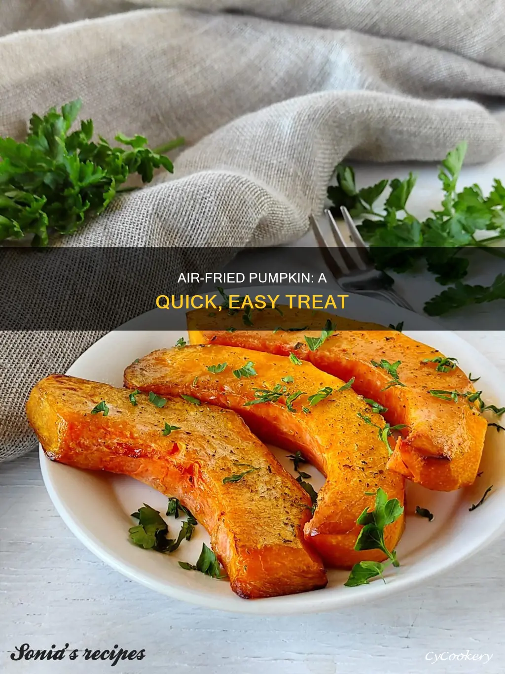 can you cook pumpkin in air fryer