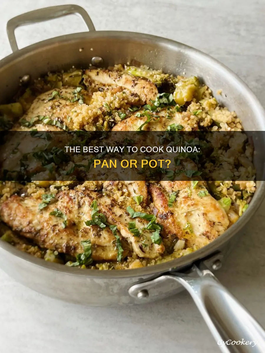 can you cook quinoa in a pan