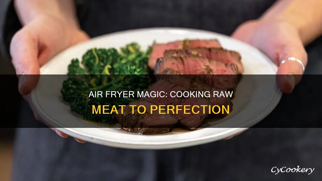 can you cook raw meat in an air fryer