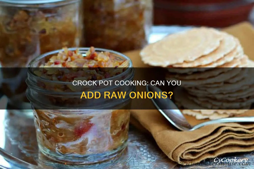 can you cook raw onions in a crock pot