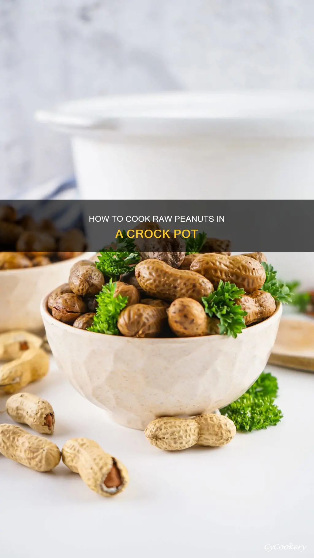 can you cook raw peanuts in a crock pot