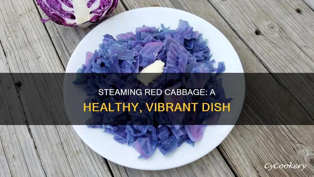 can you cook red cabbage in a steamer