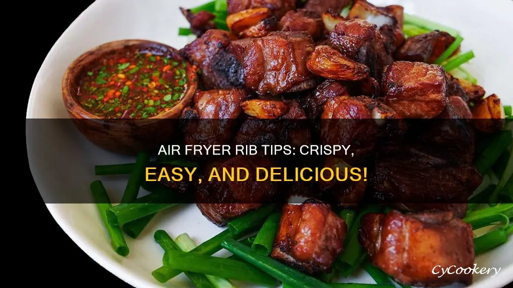 can you cook rib tips in the air fryer