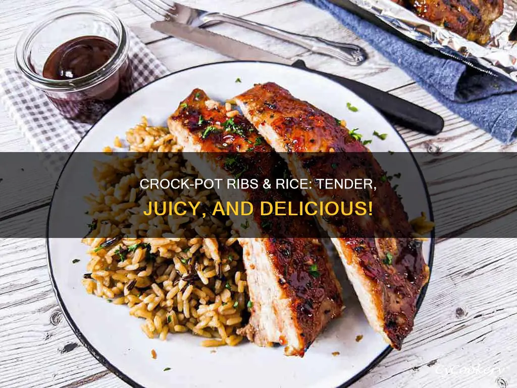 can you cook ribs in a crock pot with rice