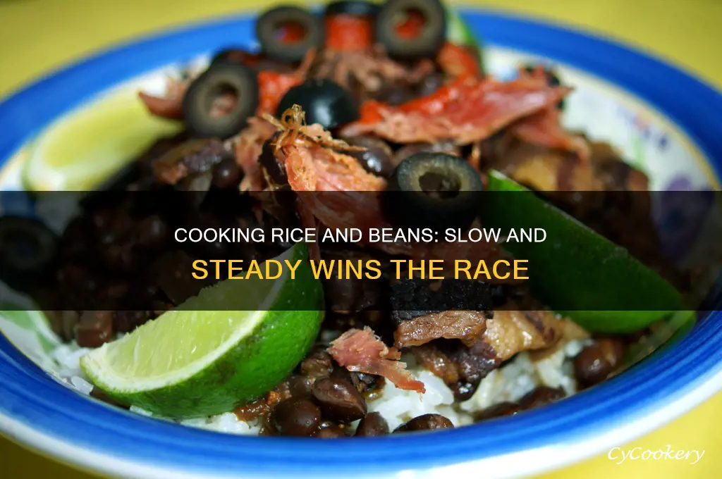 can you cook rice and beans in a crok pot