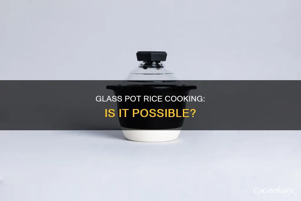 can you cook rice in a glass pot