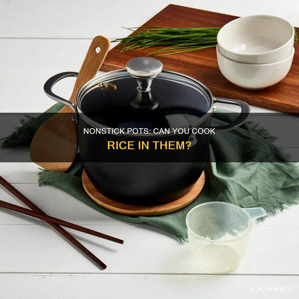 can you cook rice in a nonstick pot