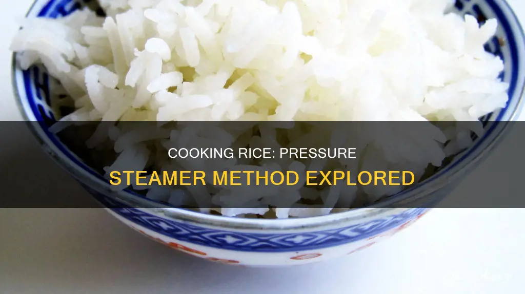 can you cook rice in a pressure steamer