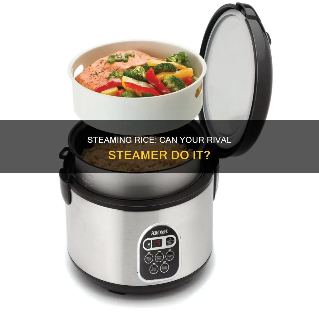 can you cook rice in a rival food steamer