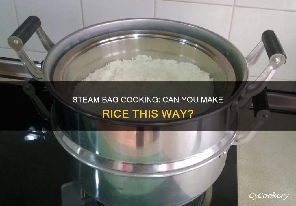 can you cook rice in a steam bag