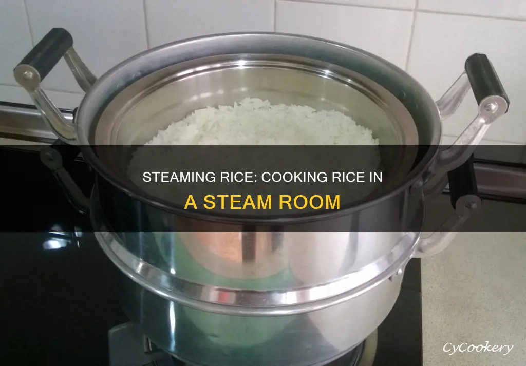 can you cook rice in a steam room