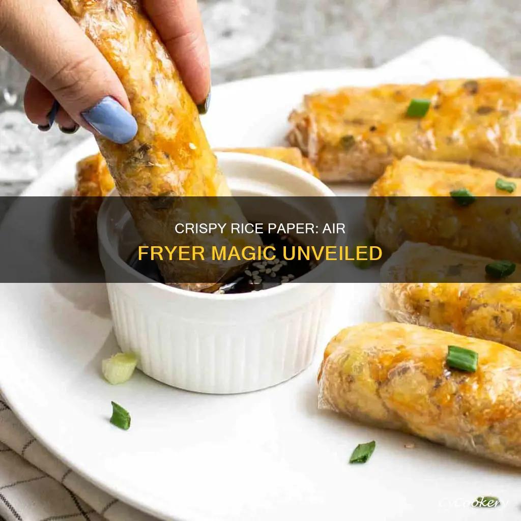 can you cook rice paper in air fryer