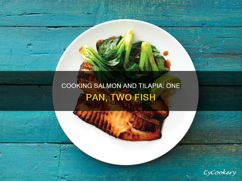 can you cook salmon and tilapia in same pan