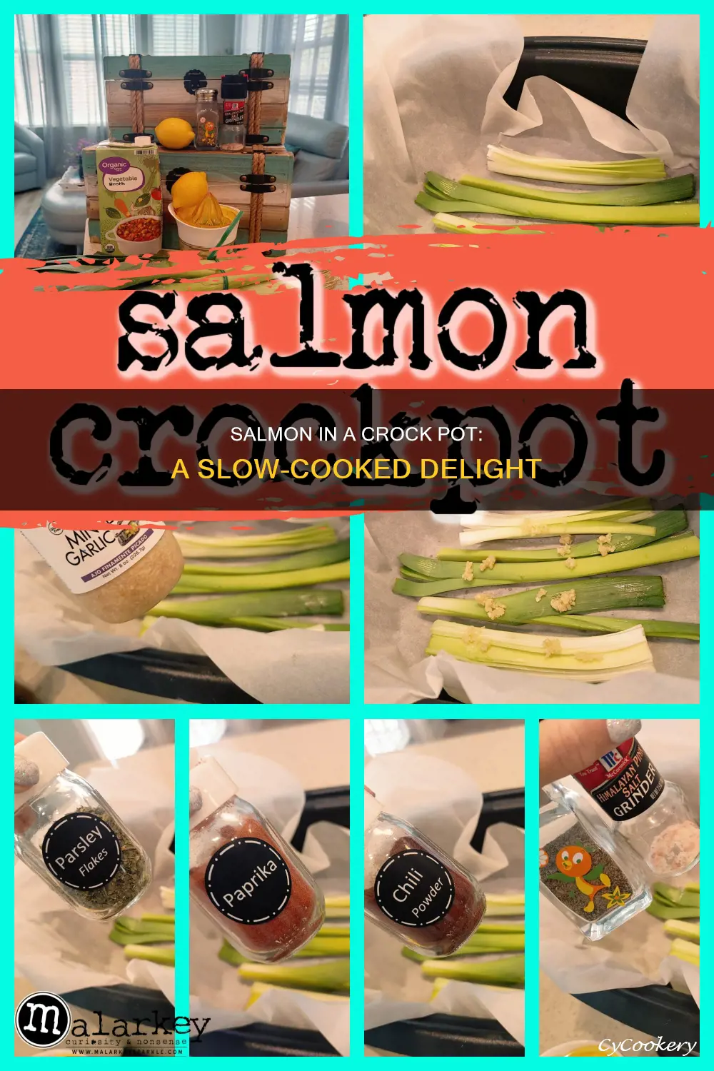 can you cook salmon in crock pot