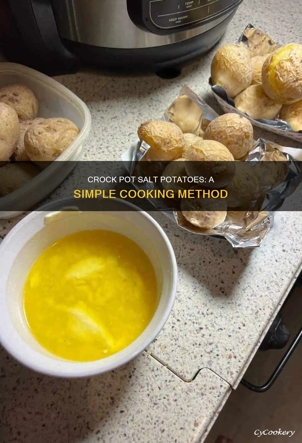 can you cook salt potatoes in a crock pot
