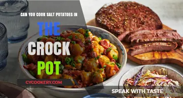 Slow-Cooked Salt Potatoes: A Crock-Pot Wonder