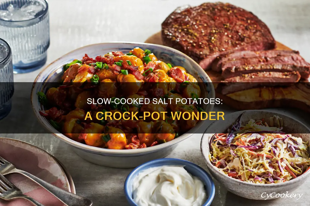 can you cook salt potatoes in the crock pot