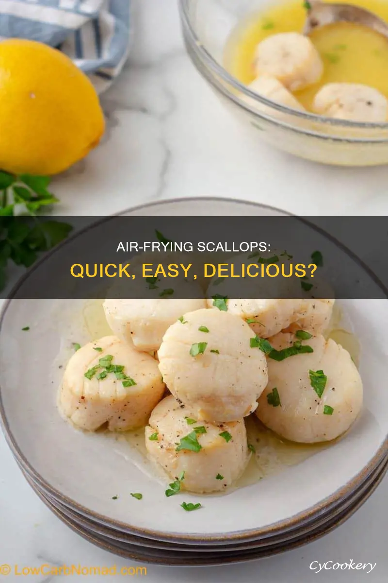can you cook scallops in air fryer