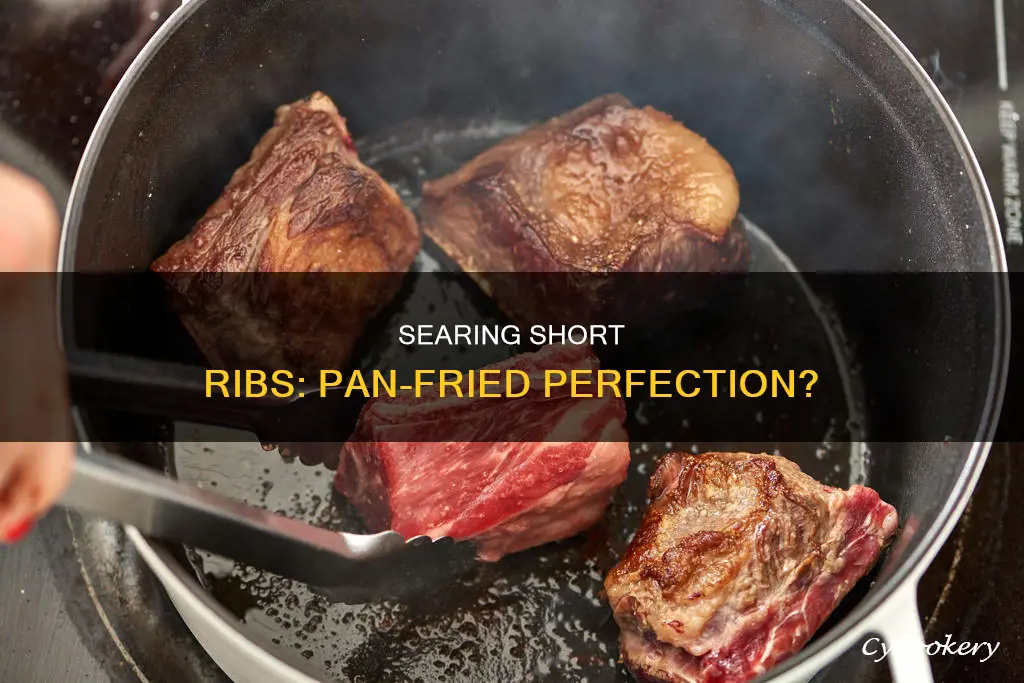 can you cook short ribs in a pan
