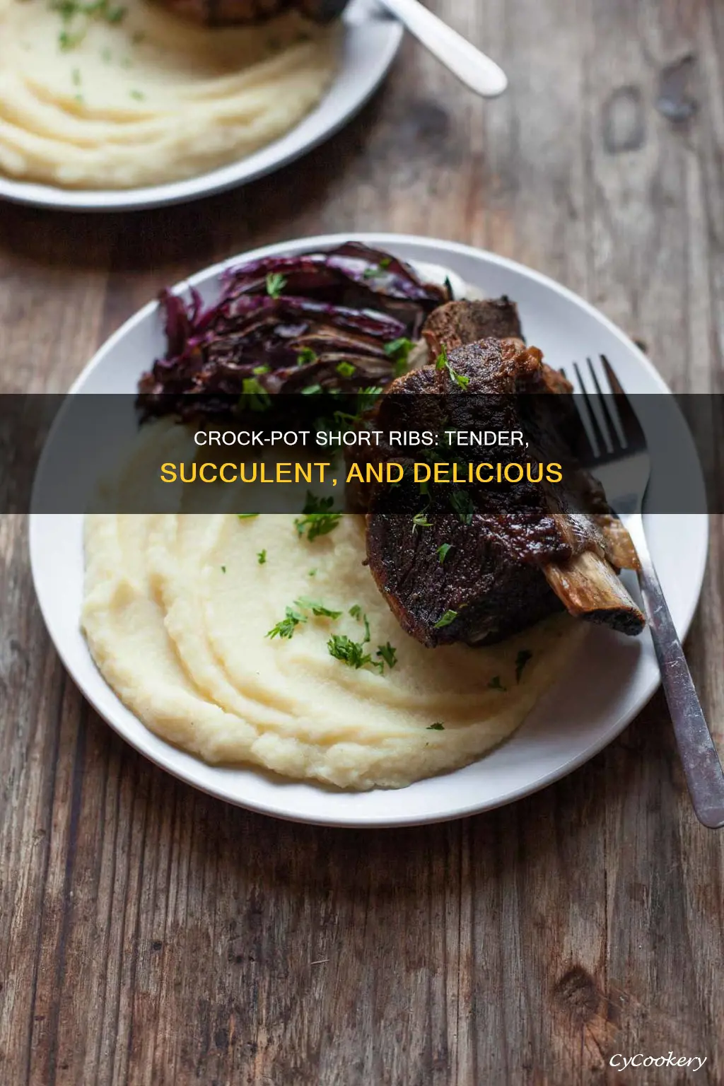 can you cook short ribs in crock pot