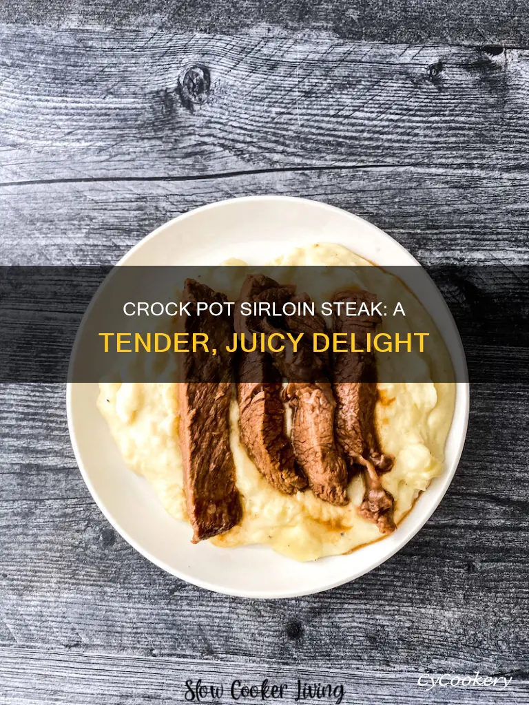 can you cook sirloin steak in crock pot