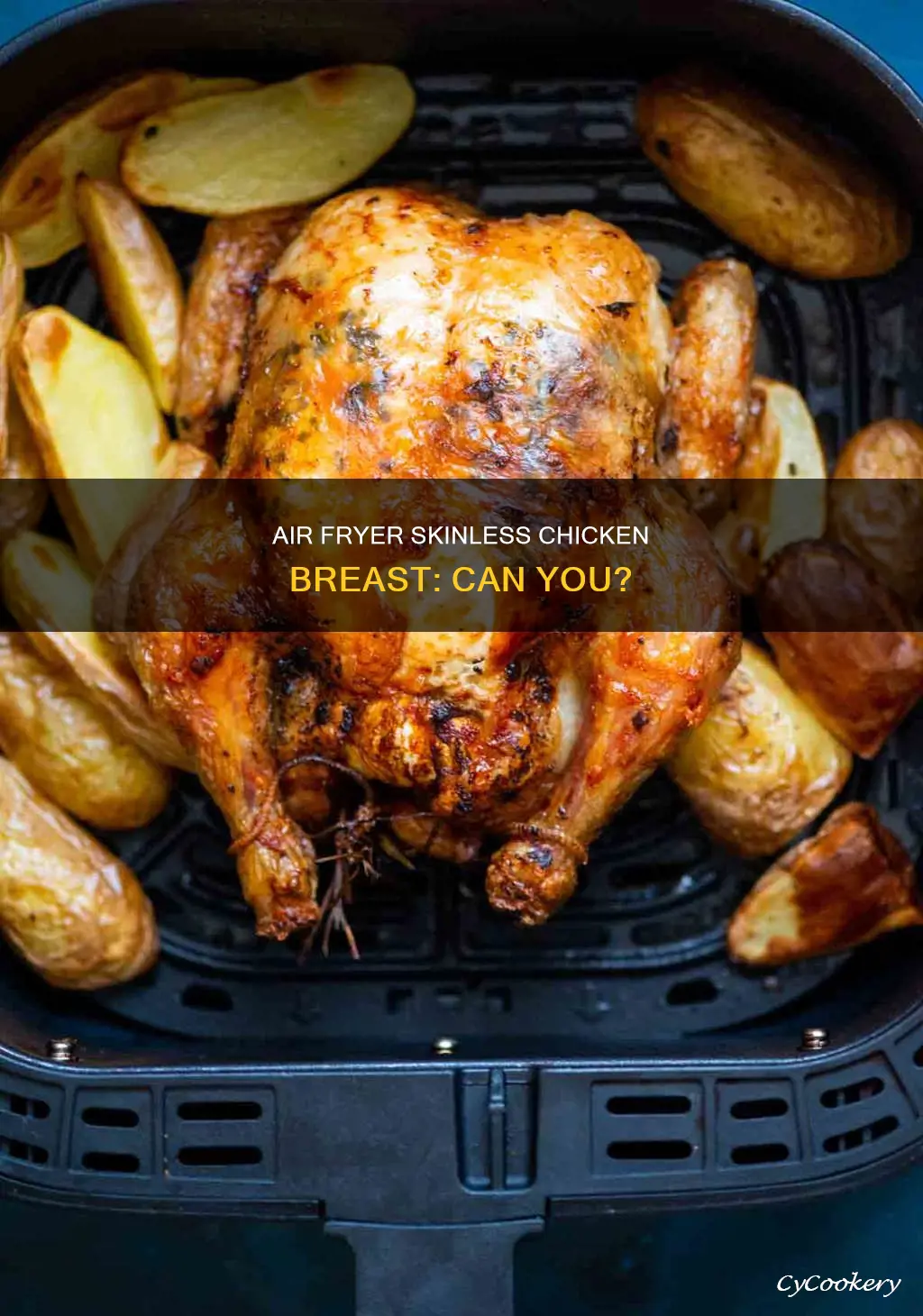 can you cook skinless chicken breast in an air fryer