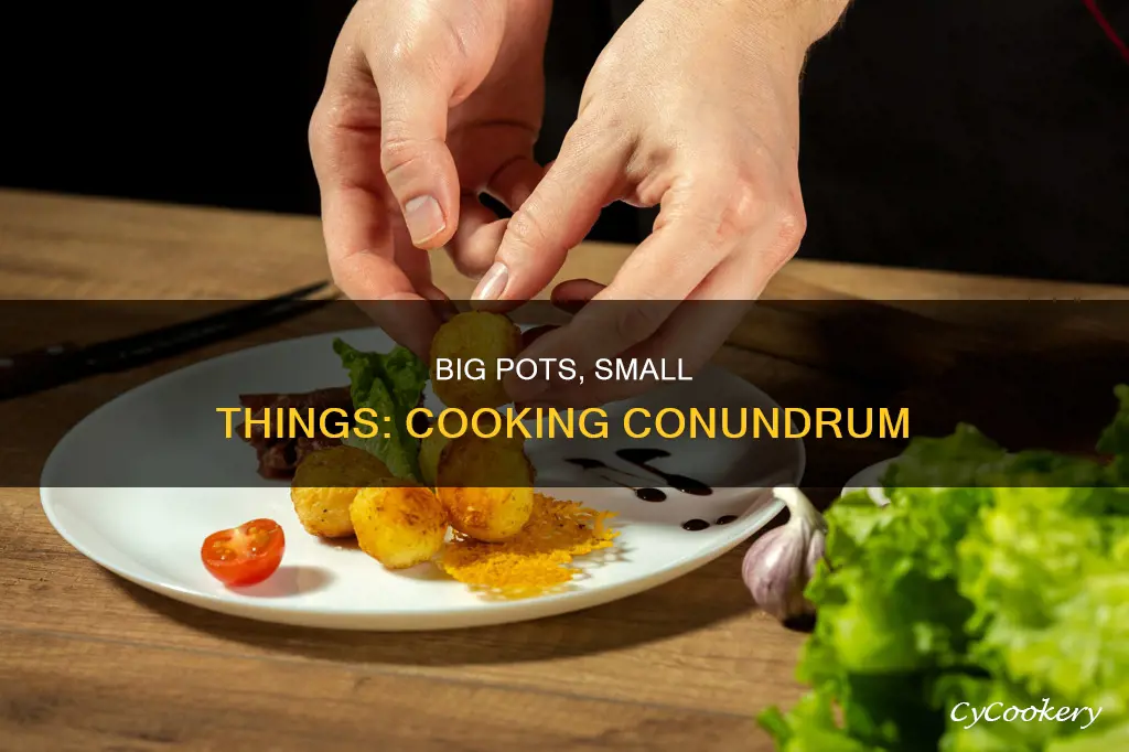 can you cook small things in big pots