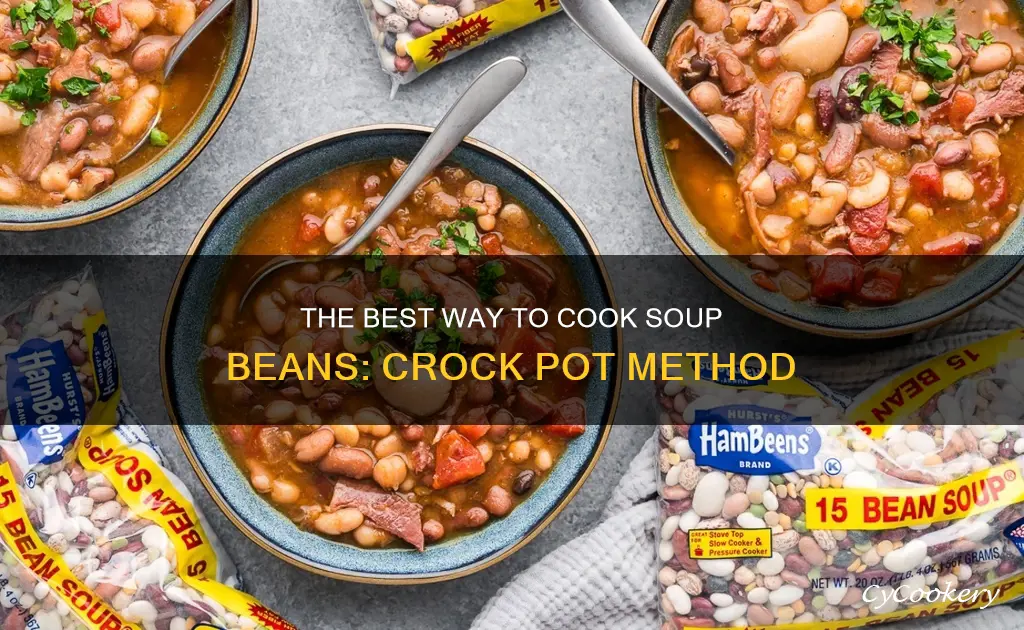 can you cook soup beans in a crock pot