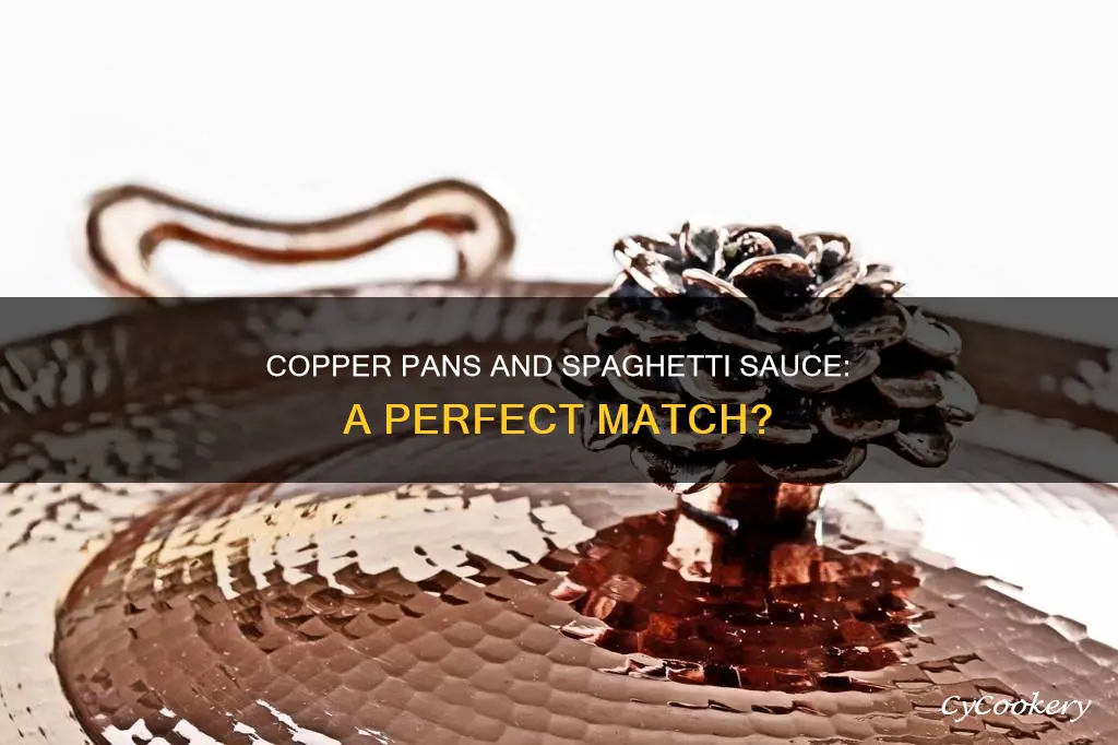 can you cook spaghetti sauce in a copper pan