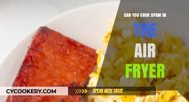 Spam Transformation: Air Fryer Magic Unveiled