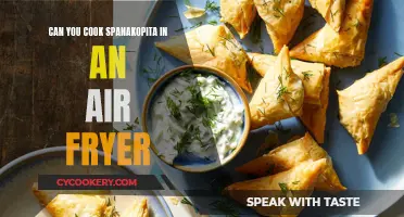 Crispy Spanakopita: Air Fryer Recipe for Greek Delight