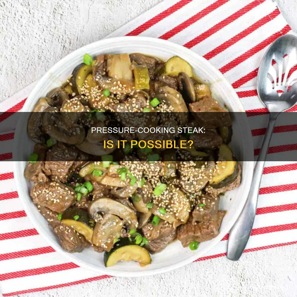 can you cook steak in an insta pot