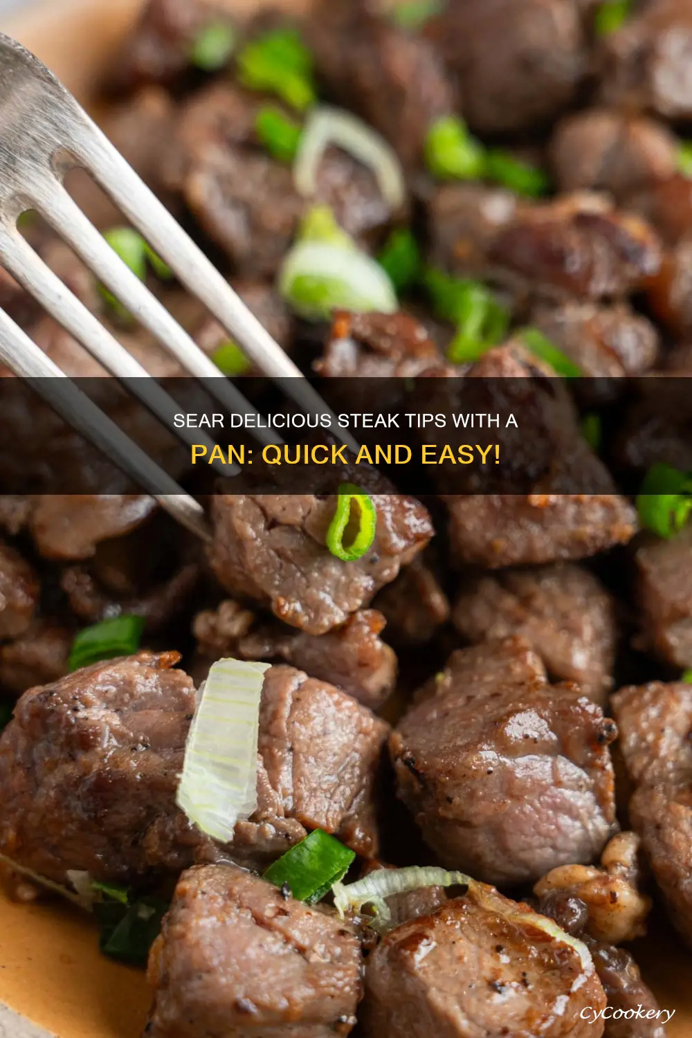 can you cook steak tips in a pan