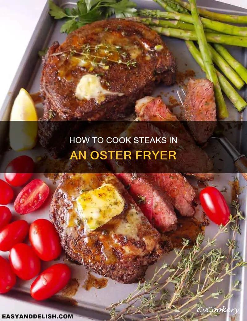 can you cook steaks in an oster fryer