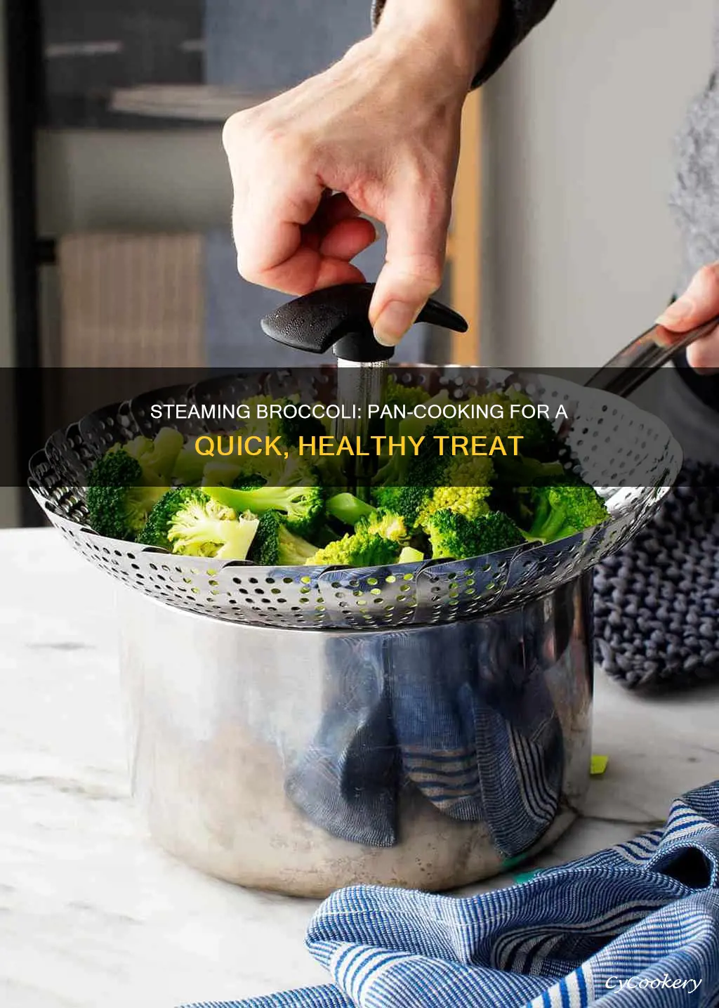 can you cook steamer broccoli in a pan