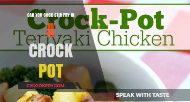 Stir Fry in a Crock Pot: Is It Possible?