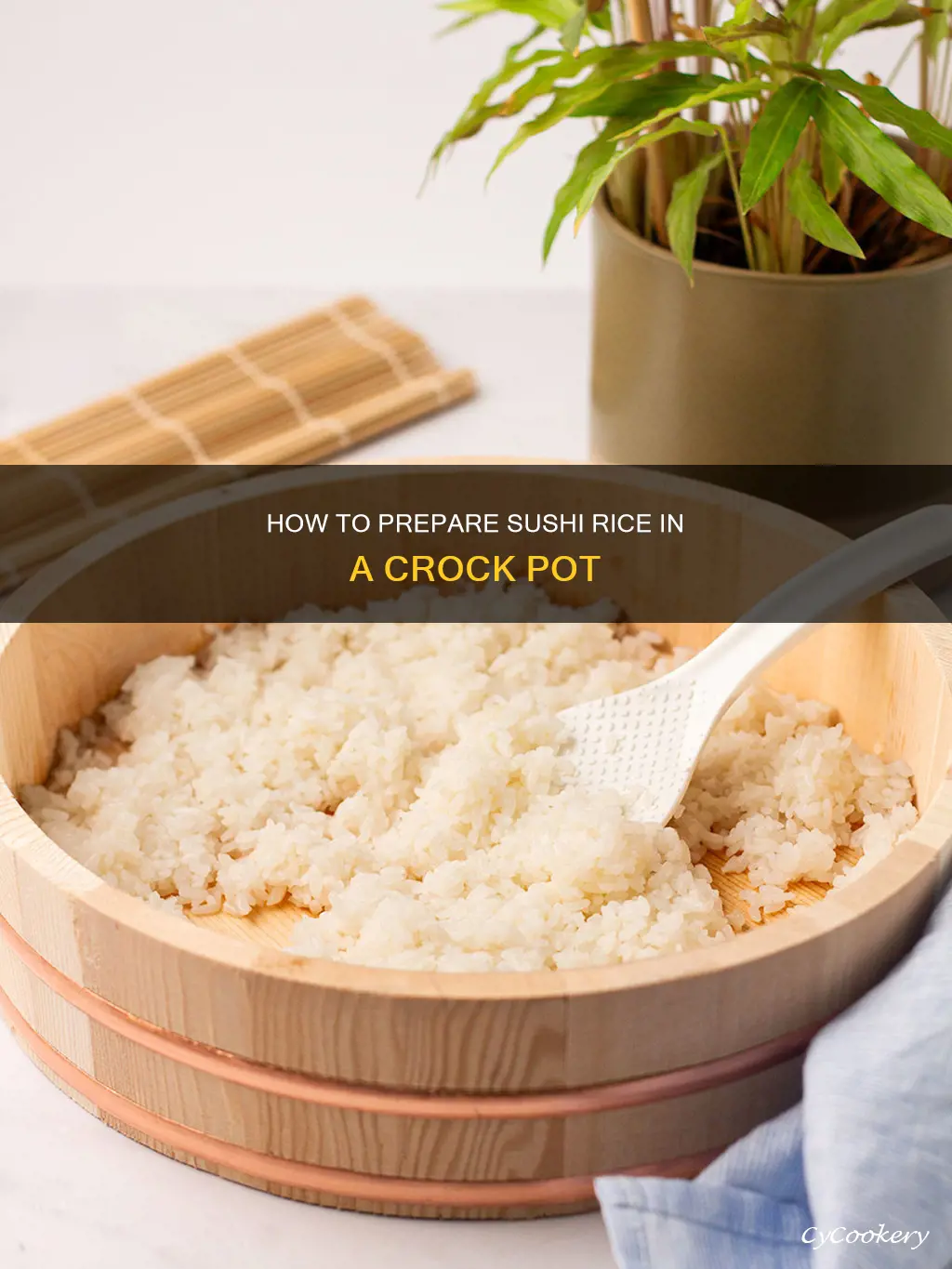 can you cook sushi rice in a crock pot