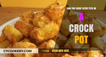 Tater Tots in a Crock Pot: A Slow Cooker Wonder?