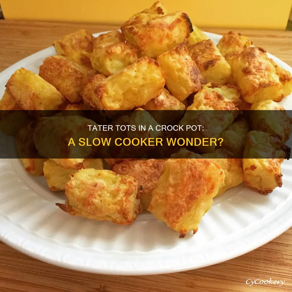 can you cook tater tots in a crock pot