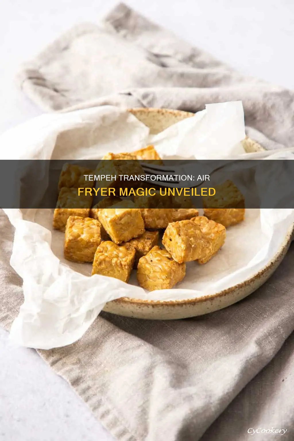 can you cook tempeh in an air fryer