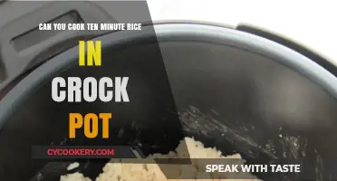 Quick Rice in a Crock Pot: Is It Possible?