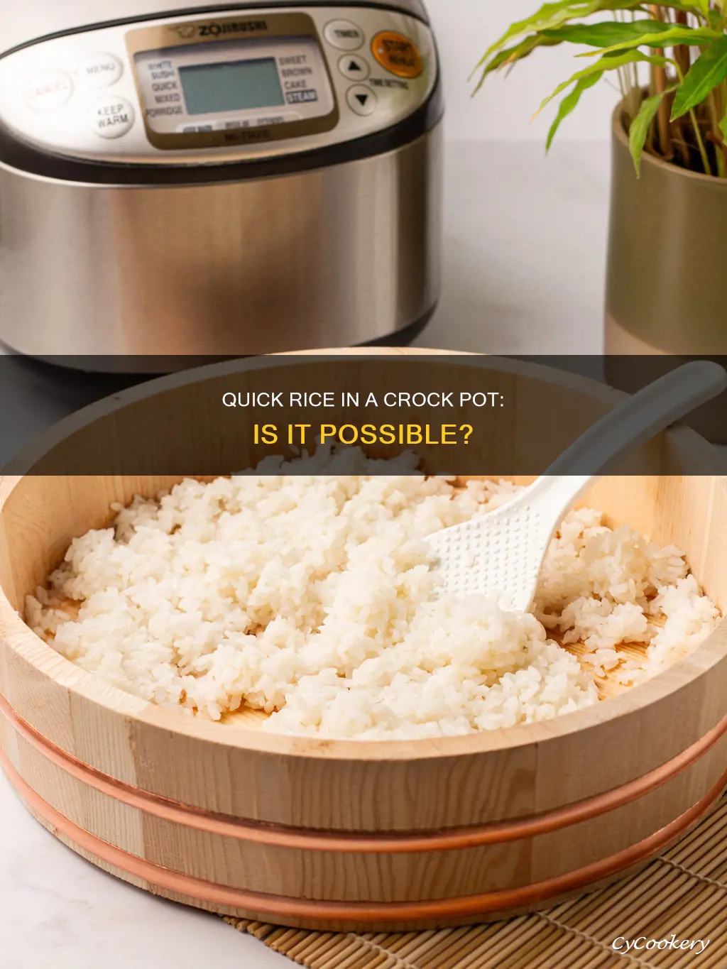 can you cook ten minute rice in crock pot