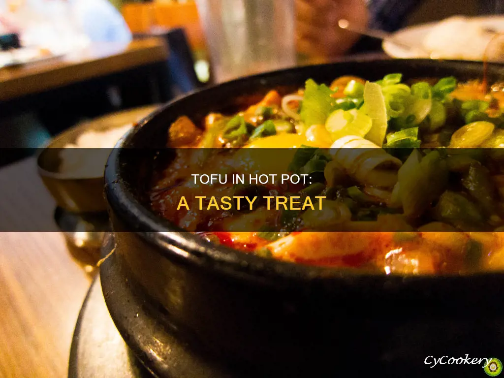 can you cook tofu in a hot pot