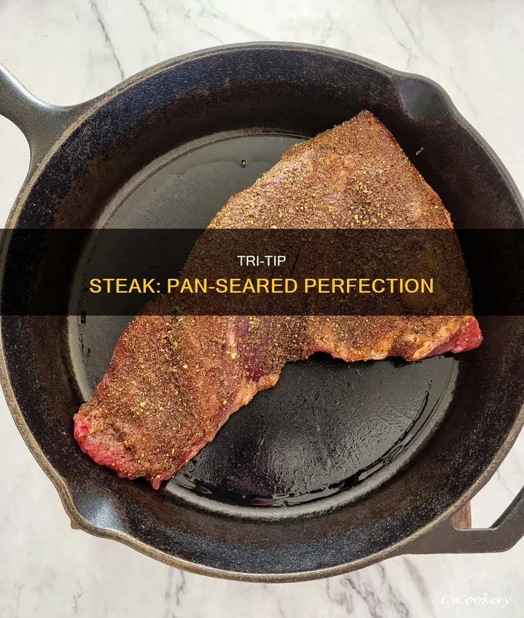 can you cook tri tip in a pan