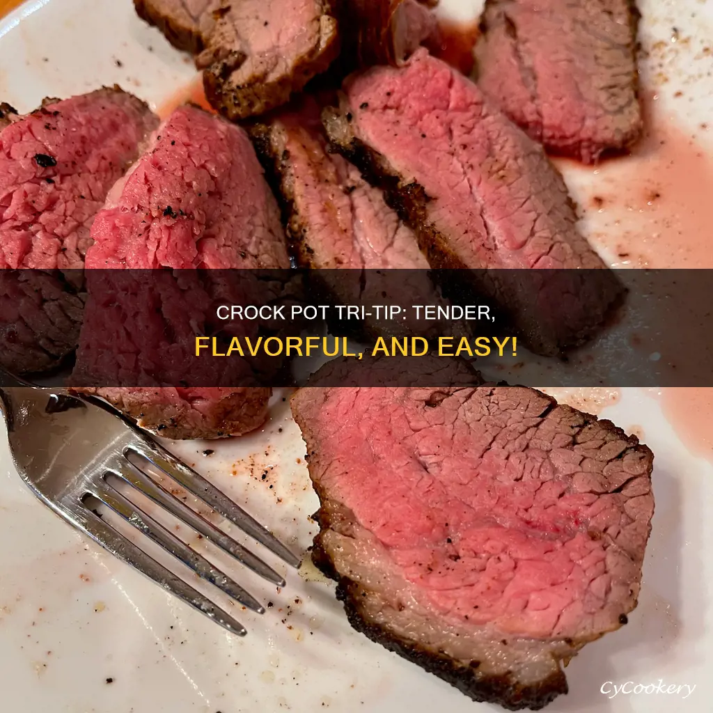 can you cook tri tip in the crock pot