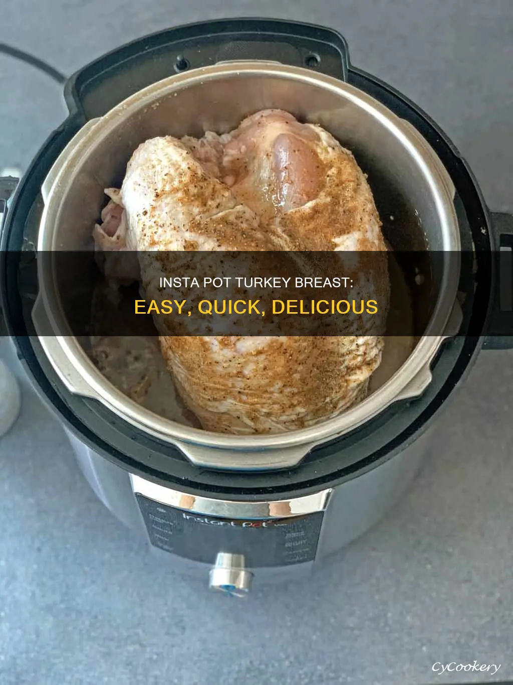 can you cook turkey brest in insta pot