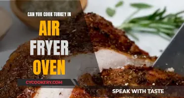 Mastering the Air Fryer Oven: Cooking the Perfect Turkey